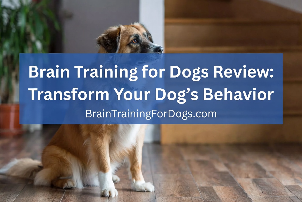 Brain Training for Dogs Review - Transform Your Dog’s Behavior